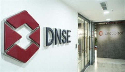 Những nội dung đáng chú ý ở ĐHĐCĐ thường niên DNSE 2026