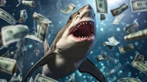 Theo dấu dòng tiền cá mập 25/03: Khối ngoại và tự doanh ngược chiều giao dịch ETF DIAMOND