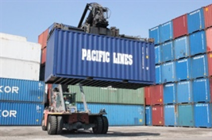 TCO Holdings muốn chi hàng trăm tỷ để thâu tóm Pacific Lines