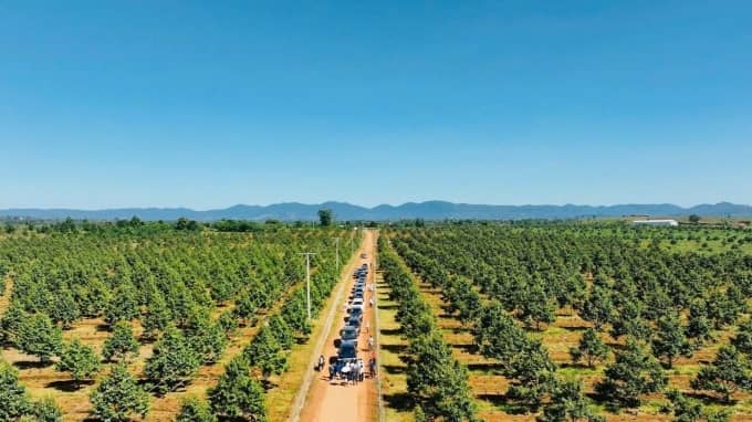 Công ty của bầu Đức đặt kế hoạch lãi kỷ lục 4.200 tỷ đồng