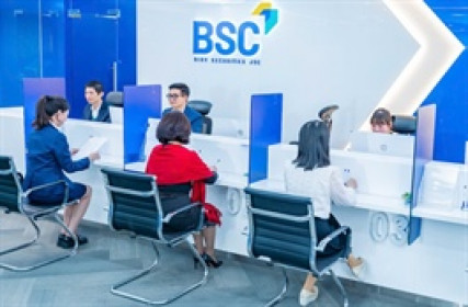 BSC công bố tài liệu họp đại hội, cổ phiếu bật tăng trần