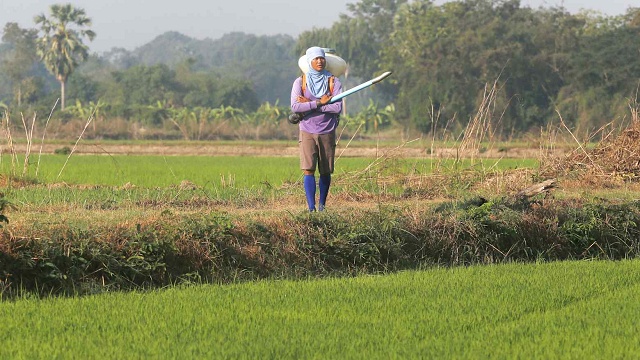 Hiệp hội Phân bón Quốc tế: Cú sốc nguồn cung hiện tại nghiêm trọng hơn cả năm 2022