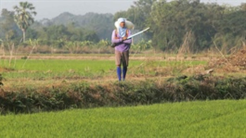 Hiệp hội Phân bón Quốc tế: Cú sốc nguồn cung hiện tại nghiêm trọng hơn cả năm 2022