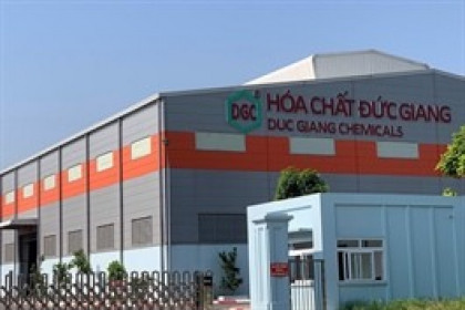 DGC xin chậm nộp báo cáo kiểm toán
