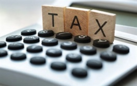 Xi măng Bỉm Sơn bị phạt và truy thu thuế gần 2.2 tỷ