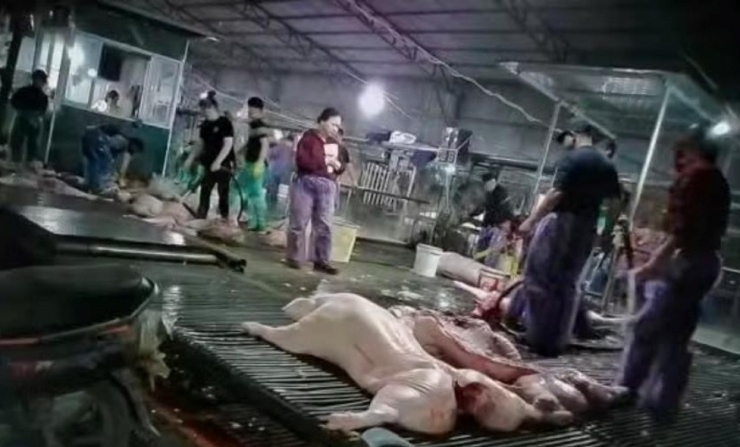 Vụ thịt lợn dịch vào trường học: Thấy gì về thị trường suất ăn tỷ USD tại Việt Nam?