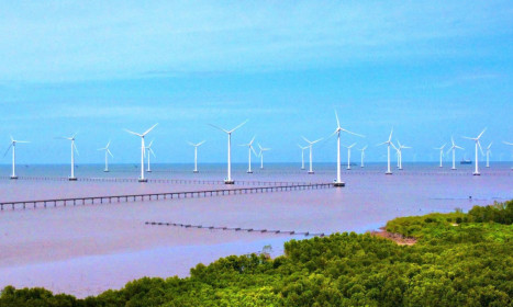 Dự án điện gió ngoài khơi, hydrogen xanh được bán tới 90% tín chỉ carbon