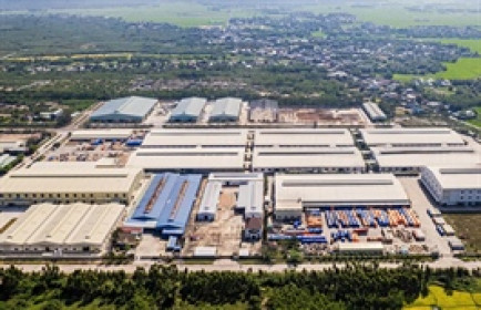 Thuế quan ảnh hưởng triển vọng mảng gỗ, Phú Tài vẫn đặt mục tiêu tăng trưởng 2 chữ số