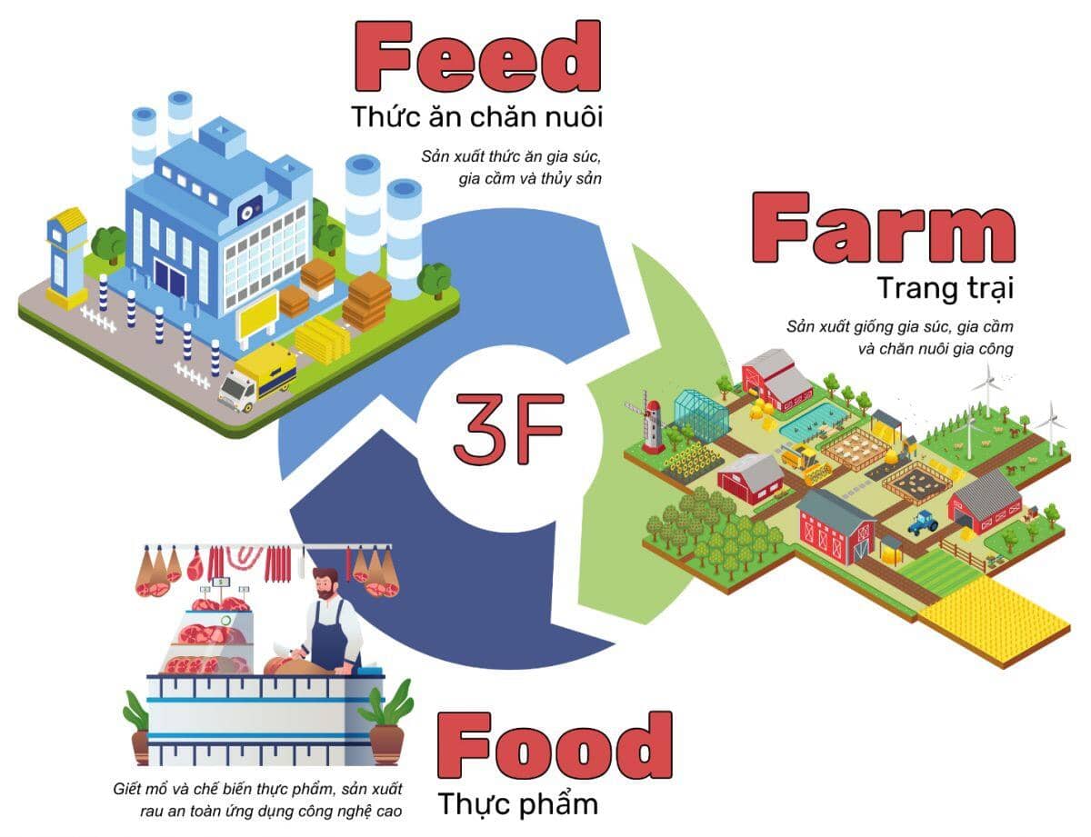 DBC - Tăng trưởng giữa biến động (Kỳ 1)