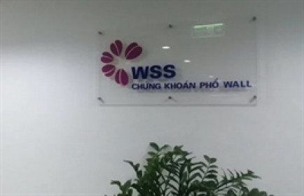 WSS thận trọng sau năm 2025 lãi đột biến, muốn huy động 1,000 tỷ từ chào bán riêng lẻ