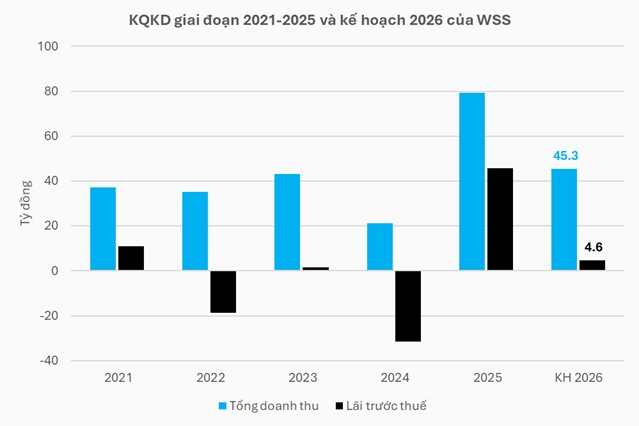 WSS thận trọng sau năm 2025 lãi đột biến, muốn huy động 1,000 tỷ từ chào bán riêng lẻ