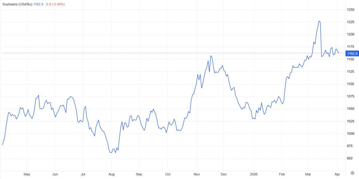 DBC - Tăng trưởng giữa biến động (Kỳ 2)