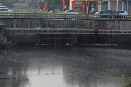 Bộ Nông nghiệp và Môi trường: Bắc Hưng Hải sẽ thay đổi từ năm 2030