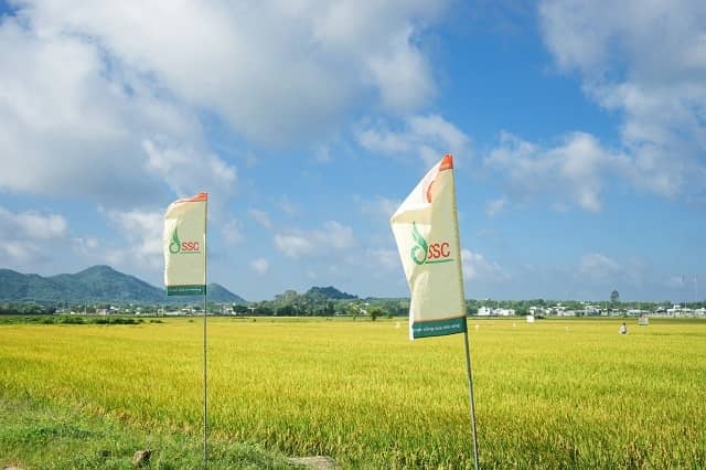 Sau năm lợi nhuận thấp kỷ lục, SSC đặt mục tiêu phục hồi trong 2026