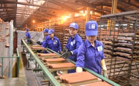 Doanh nghiệp vật liệu xây dựng đầu tiên lỗ quý 1, vốn chủ âm, kỳ vọng có lãi 2026