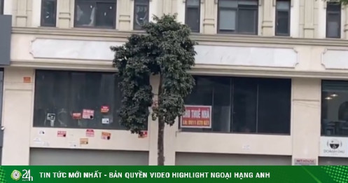 Hà Nội: Nhà mặt phố tại phường Dương Nội rao bán rầm rộ tháng 4/2026