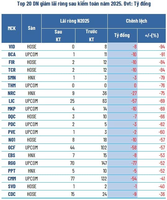 Kiểm toán “vén màn” lợi nhuận: Còn lại bao nhiêu là thực?