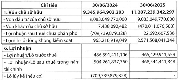 Năng lượng Tái tạo Trung Nam báo lãi bán niên 469 tỷ, xóa lỗ lũy kế