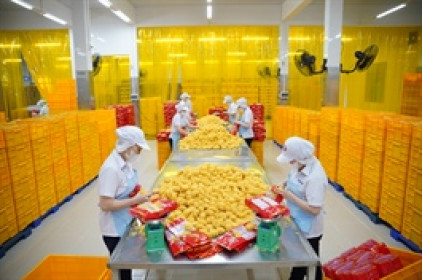 Safoco sắp chi hơn 36 tỷ đồng cổ tức