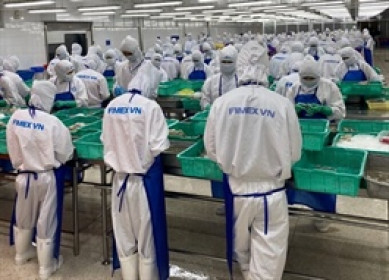 Doanh thu Sao Ta đi xuống trong quý đầu năm