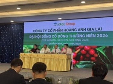 Bầu Đức: Cổ đông có tiền thì cứ mua thêm, 1-2 năm nữa mà lỗ cứ kêu ông Đức ra chửi