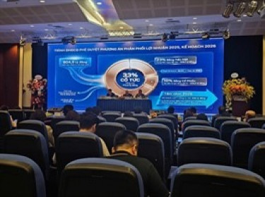 ĐHĐCĐ PVI: Mục tiêu lợi nhuận giảm 15%, trả cổ tức tỷ lệ 33%