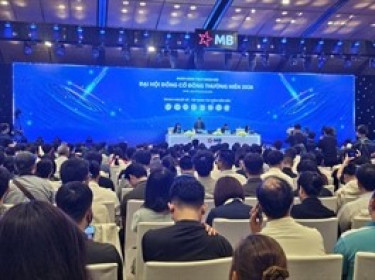 ĐHĐCĐ MB: Lãi trước thuế quý 1 đạt 9,500 tỷ đồng, tăng hơn 13%