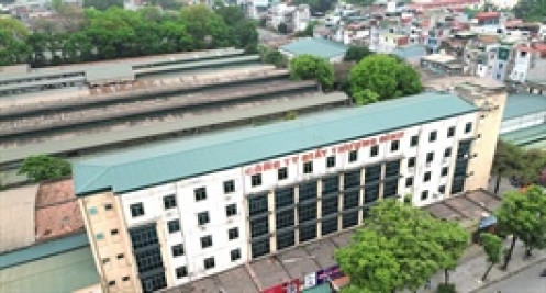 Vinaconex muốn nắm 48% vốn Giày Thượng Đình, tính rót vào thêm hơn ngàn tỷ