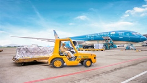 NCT báo lãi tăng hơn 60% trong quý 1
