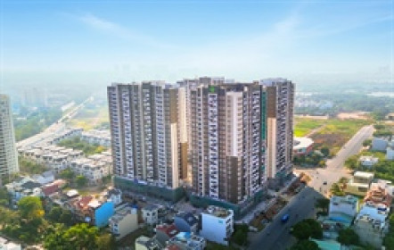 Lợi nhuận ròng quý 1 hơn 900 tỷ, Tổng Giám đốc Novaland nhận lương 400 triệu/tháng
