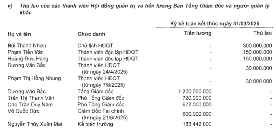 Lợi nhuận ròng quý 1 hơn 900 tỷ, Tổng Giám đốc Novaland nhận lương 400 triệu/tháng