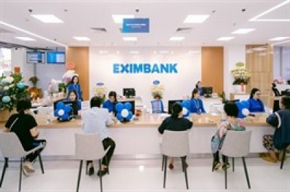 Chủ động củng cố bộ đệm tài chính, Eximbank lãi trước thuế quý 1 hơn 338 tỷ đồng