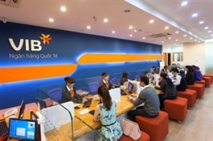 CASA tăng 5%, VIB tăng 16% lãi trước thuế quý 1
