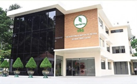 Ông lớn cao su đạt lợi nhuận ròng cao nhất 6 năm