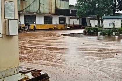 Nhà máy mất 2.000 lít mật vì sét đánh thủng bể chứa