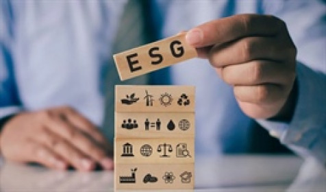 Doanh nghiệp cần làm gì để ESG trở thành trở thành tấm vé thông hành tới dòng vốn xanh dài hạn?