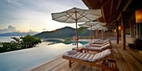 NVT tìm cách thoát nguy cơ mất tư cách đại chúng, lợi nhuận sau thuế quý 1 cao nhất từ khi niêm yết