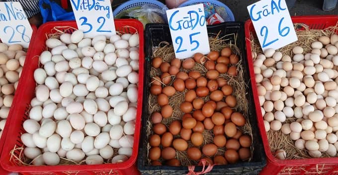 Giá gà và trứng lao dốc, người nuôi lỗ nặng