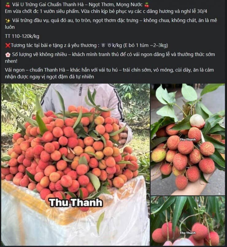 Tiểu thương lý giải giá vải tươi đầu mùa cao chót vót nhưng vẫn đắt hàng