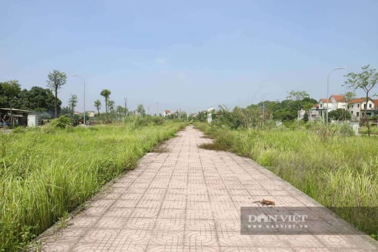 Khu đất đấu giá từng gây sốc ở Hà Nội sau gần 2 năm: Biển quảng cáo mất hút, cỏ mọc lút đầu người