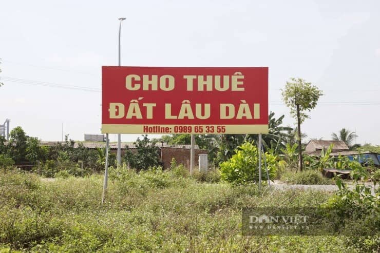 Khu đất đấu giá từng gây sốc ở Hà Nội sau gần 2 năm: Biển quảng cáo mất hút, cỏ mọc lút đầu người