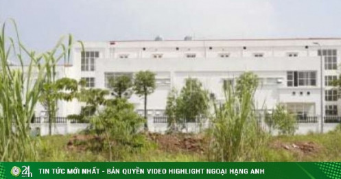 Khu đất đấu giá từng gây sốc ở Hà Nội sau gần 2 năm: Biển quảng cáo mất hút, cỏ mọc lút đầu người