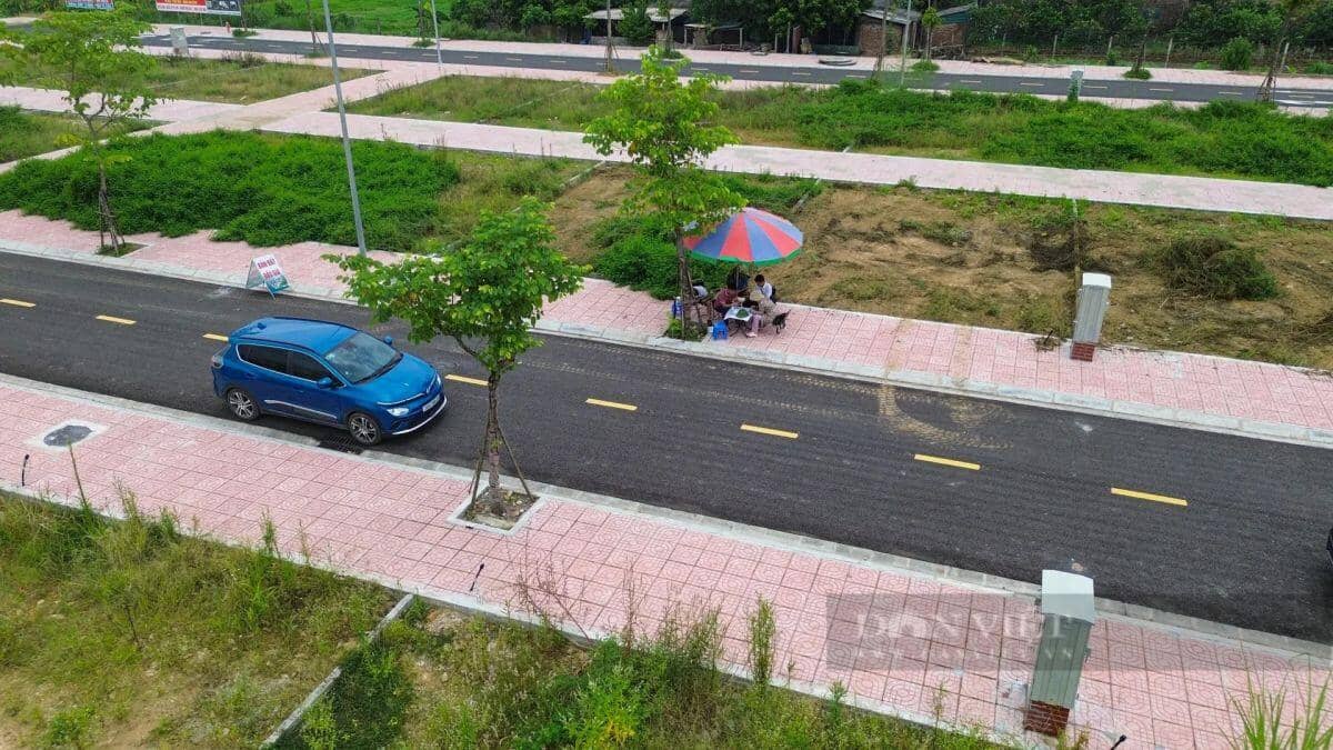 Khu đất đấu giá từng gây sốc ở Hà Nội sau gần 2 năm: Biển quảng cáo mất hút, cỏ mọc lút đầu người