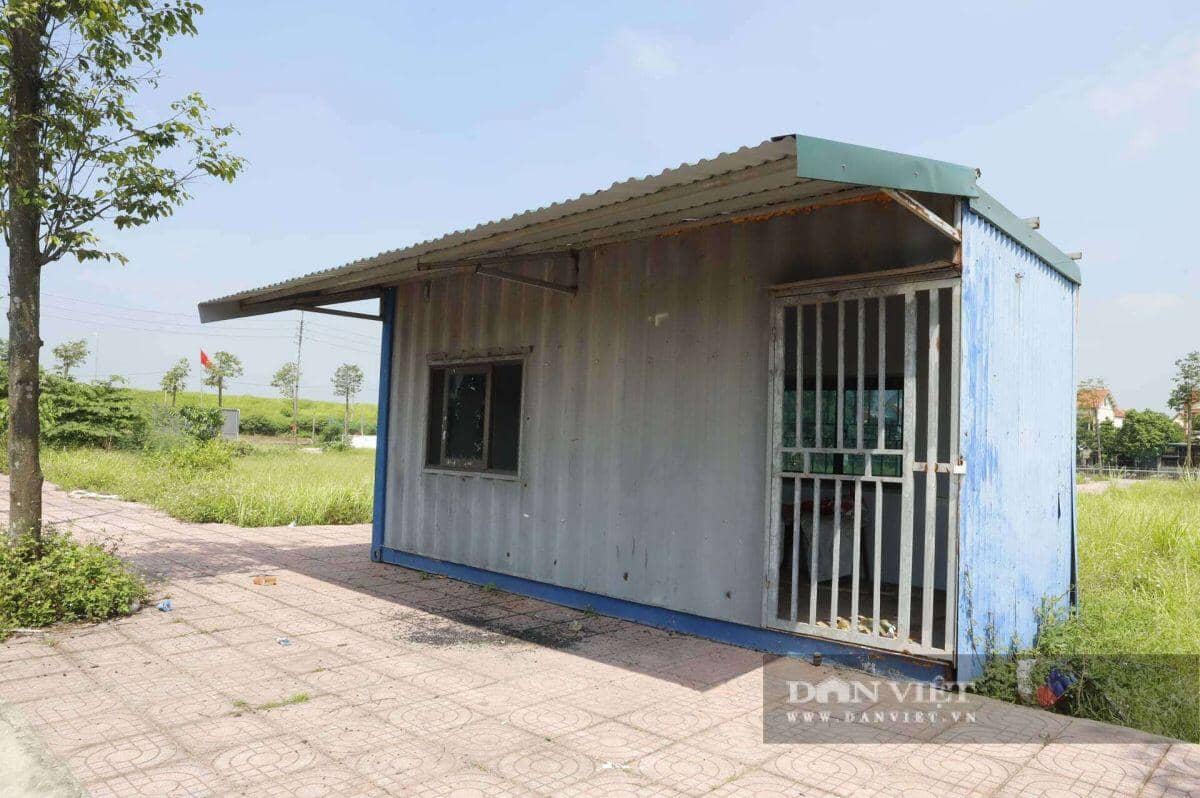Khu đất đấu giá từng gây sốc ở Hà Nội sau gần 2 năm: Biển quảng cáo mất hút, cỏ mọc lút đầu người