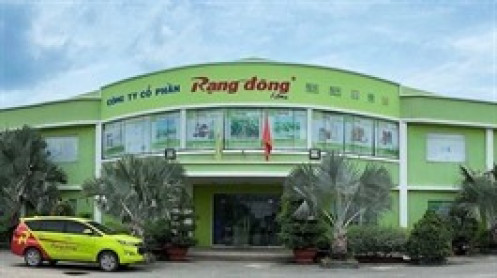 Rạng Đông Holding bị phạt vì chậm công bố thông tin