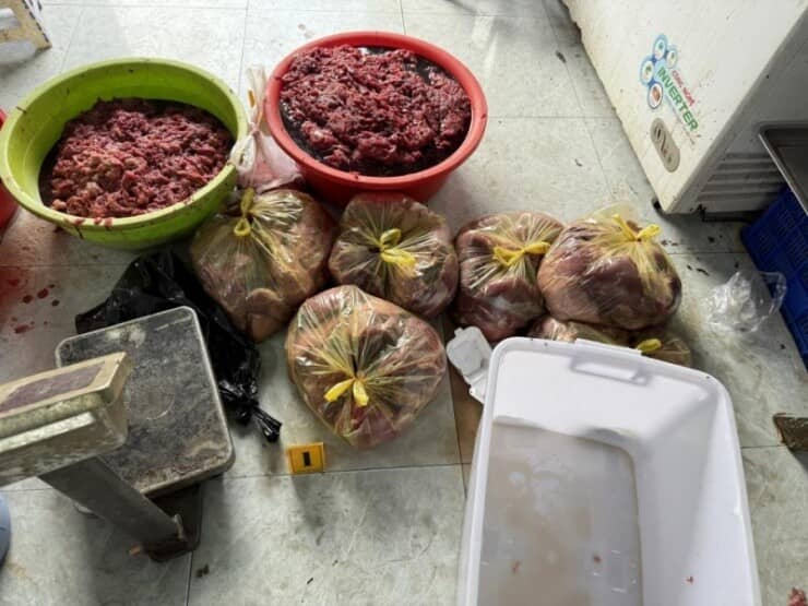 Thịt heo nái và hóa chất "biến" thành thịt bò, thu lợi tiền tỷ