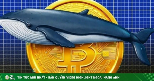 'Cá voi' Bitcoin trị giá 40 tỷ USD thức giấc