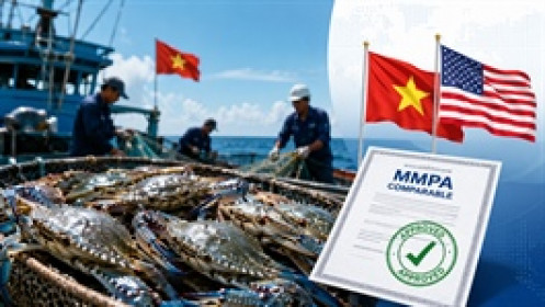 Ghẹ Việt nhận tin vui từ thị trường Mỹ