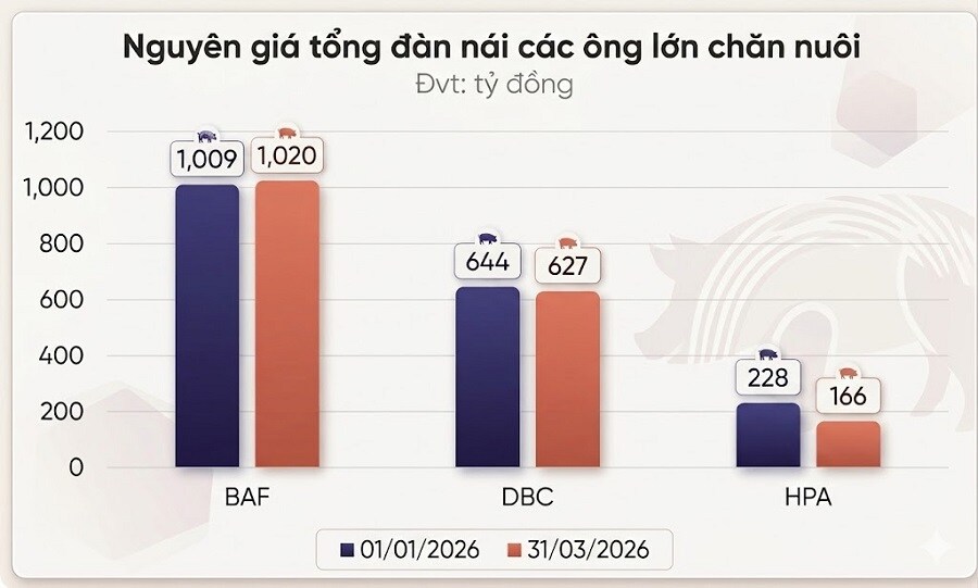 Chăn nuôi heo quý 1: Người lãi kỷ lục, kẻ ngậm ngùi lùi bước