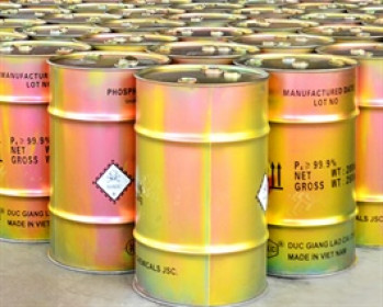 DGC gấp rút kiểm toán báo cáo tài chính để cổ phiếu sớm thoát diện kiểm soát